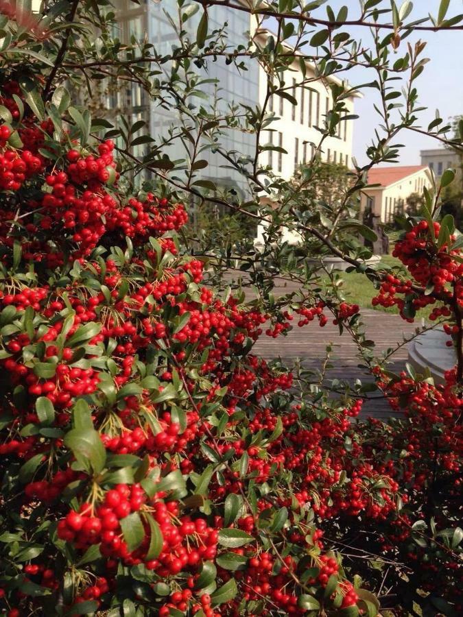 Bauhinia Garden Hotel Ціндао Екстер'єр фото